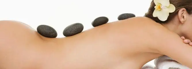 Anastassia Venediktova Naturopath À Chantilly