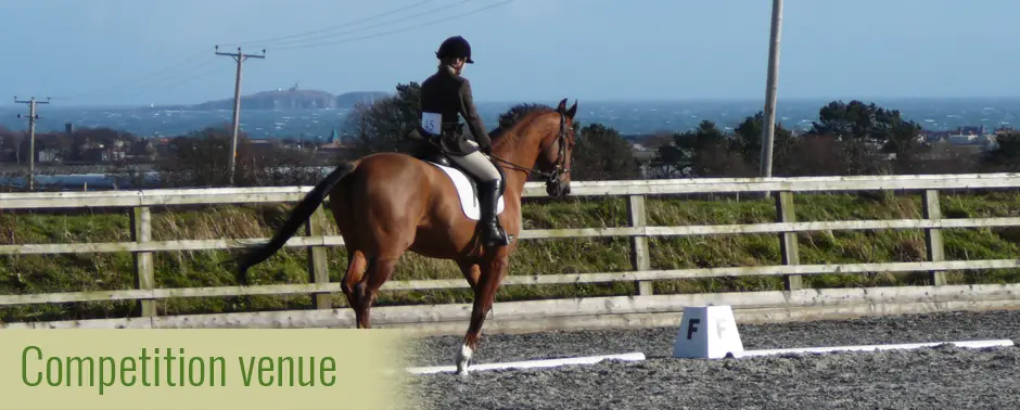 Ovenstone Equine