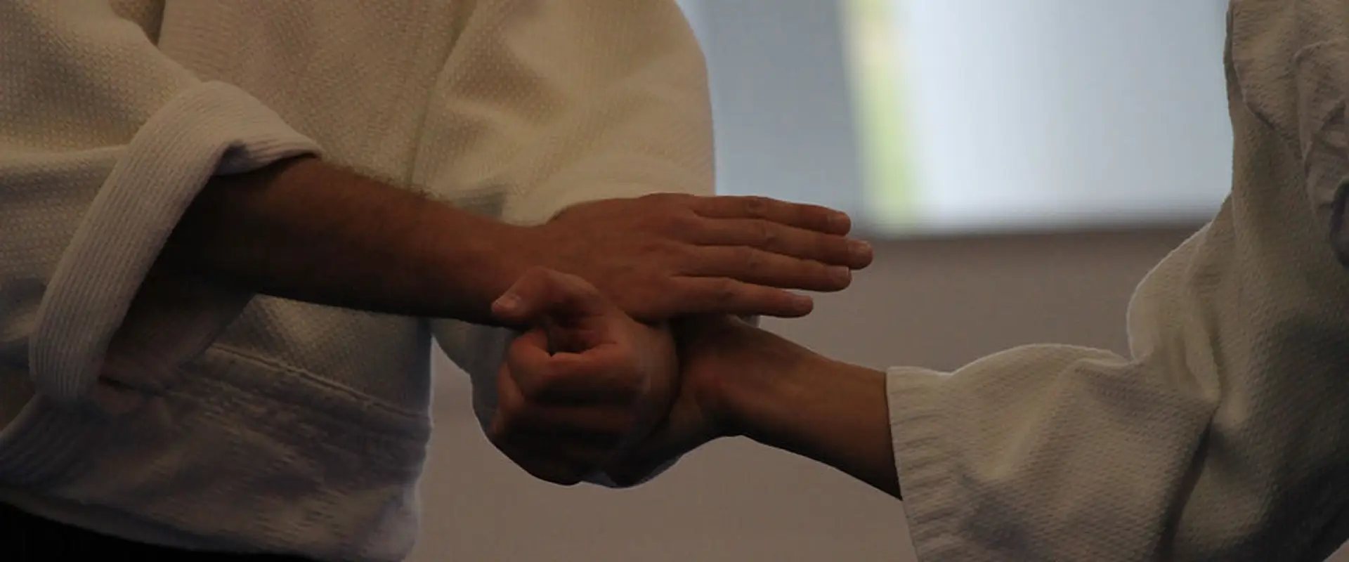 Dojo Wambrechies