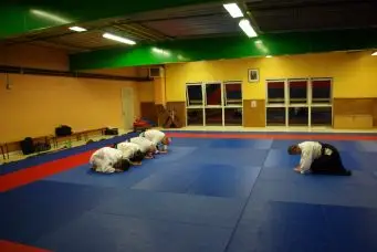 Kobayashi Academy Aikido De Chevigny Saint Sauveur