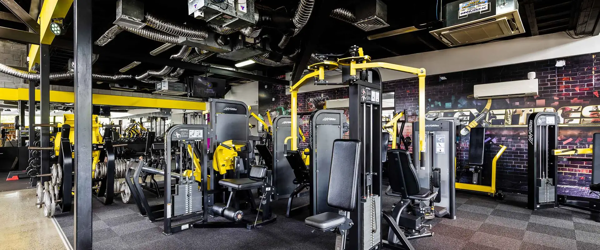 Flex Fitness Morrinsville 24 Hour Gym