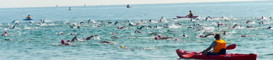 Streamline Swims