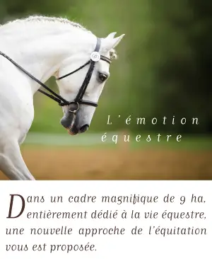 Stables Des Dalennes