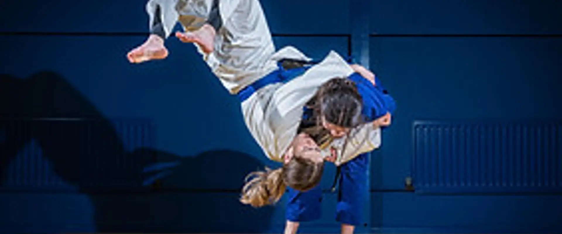 The Judo Academy