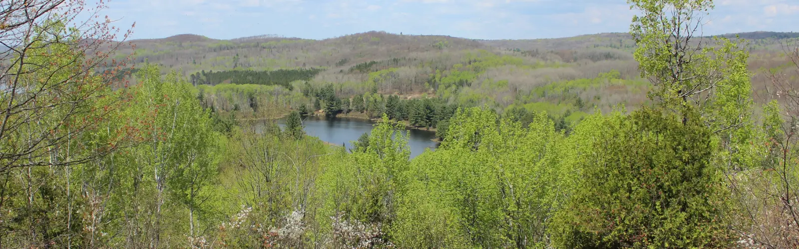 Wadsworth Lake Beach