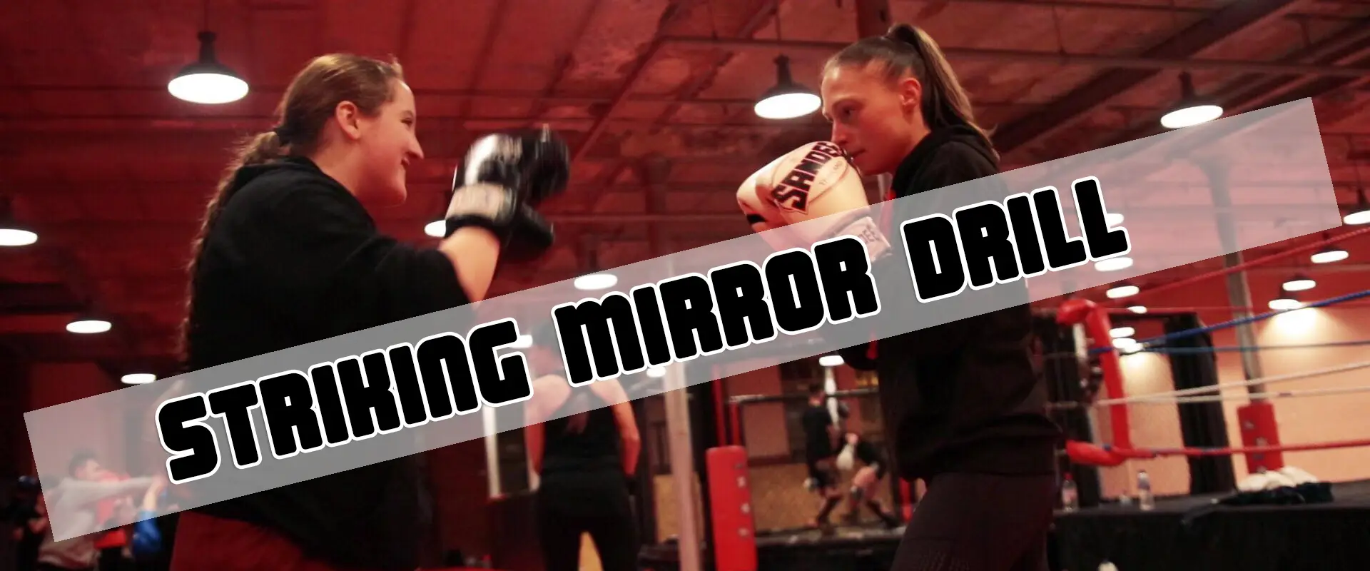 12 Gauge Mixed Martial Arts Manchester