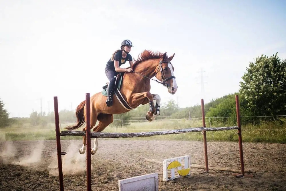 FERME EQUESTRE DU MOULIAN