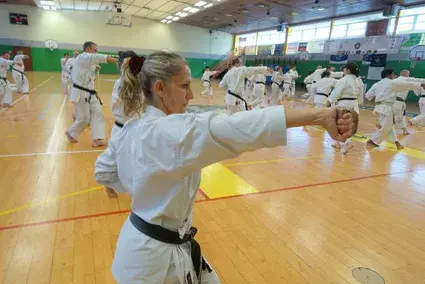 Karate Goju Ryu Sisteron