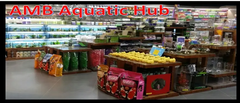 AMB Aquatic Hub