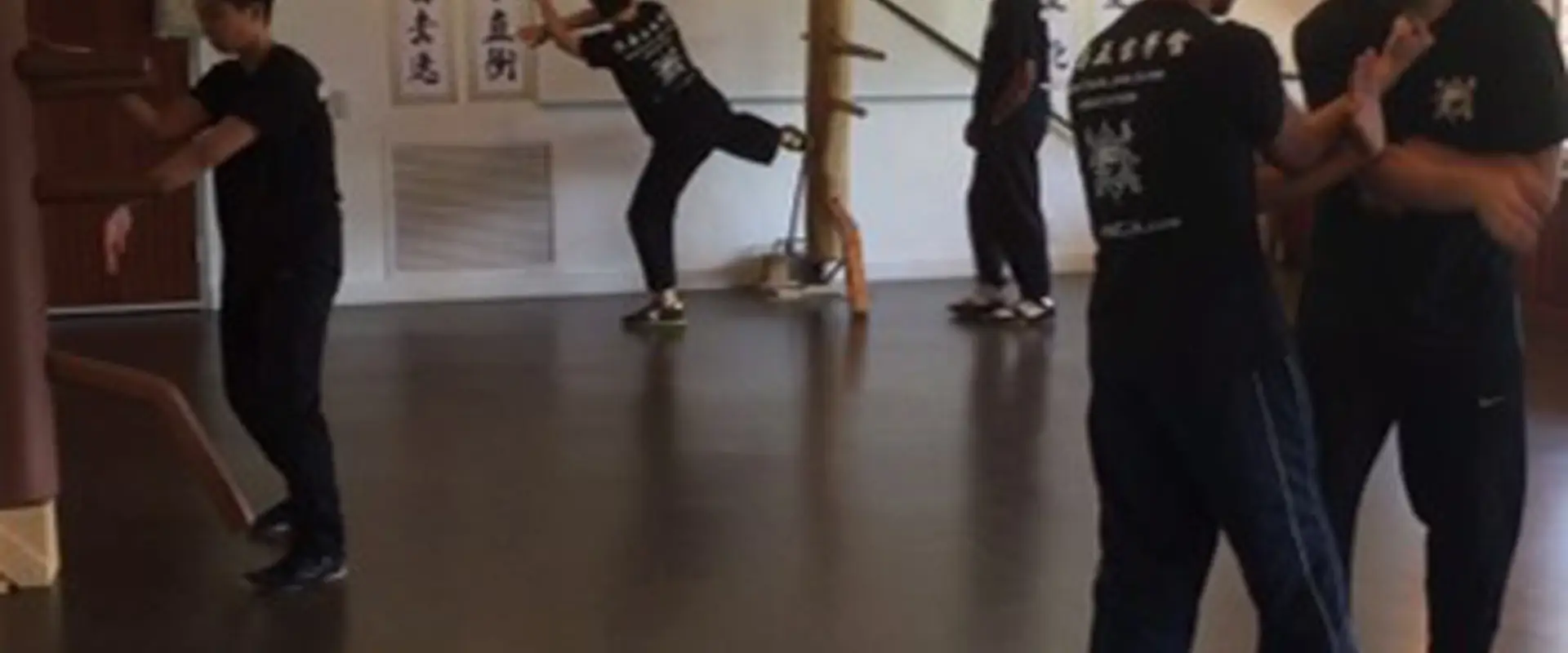 Wing Chun Jing Jung Association (WCJJA) - Kung Fu