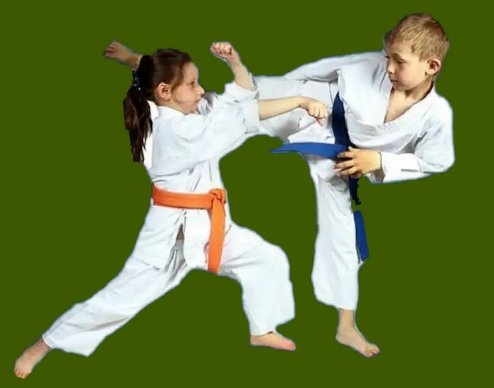 Merit Karate Academy