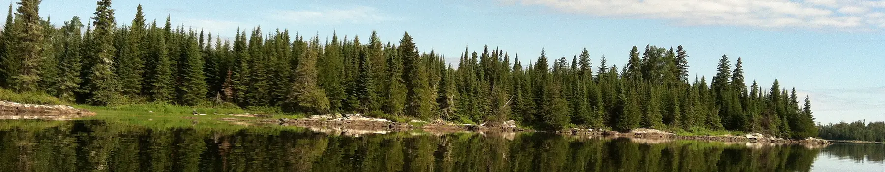 Watson's Kaby Lodge