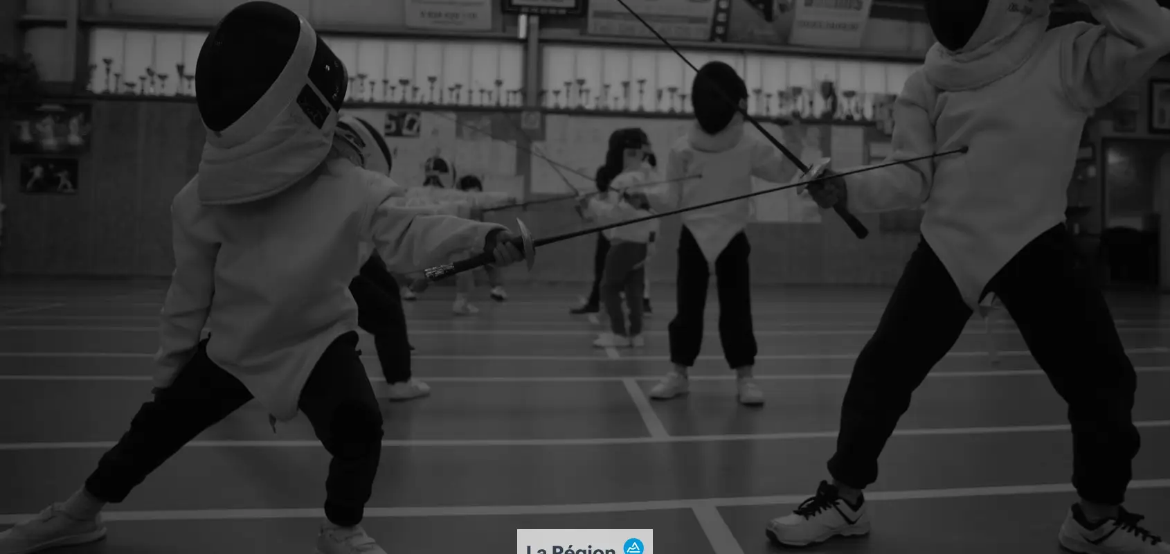 Fencing Ecully