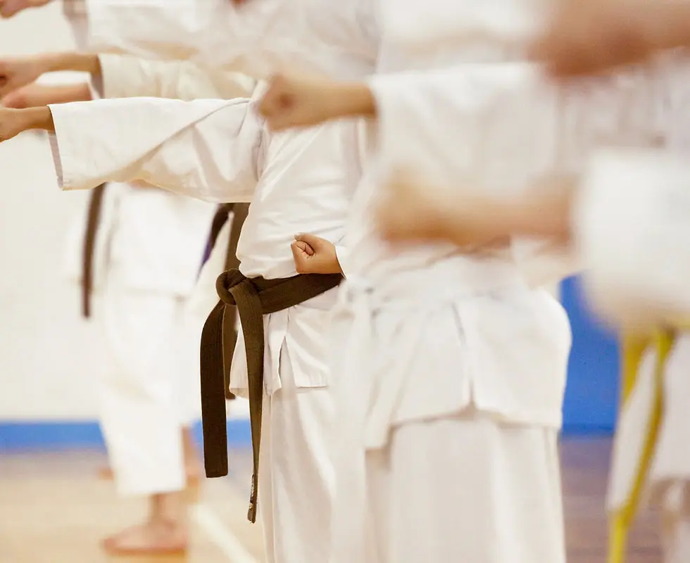 KORYU KARATE