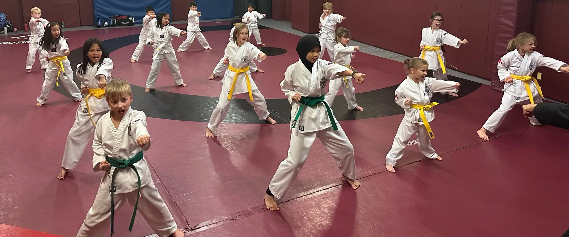 Haechi Traditional Tae Kwon Do