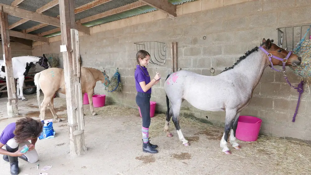 Foxglove Farm Childrens Riding Holidays Ltd