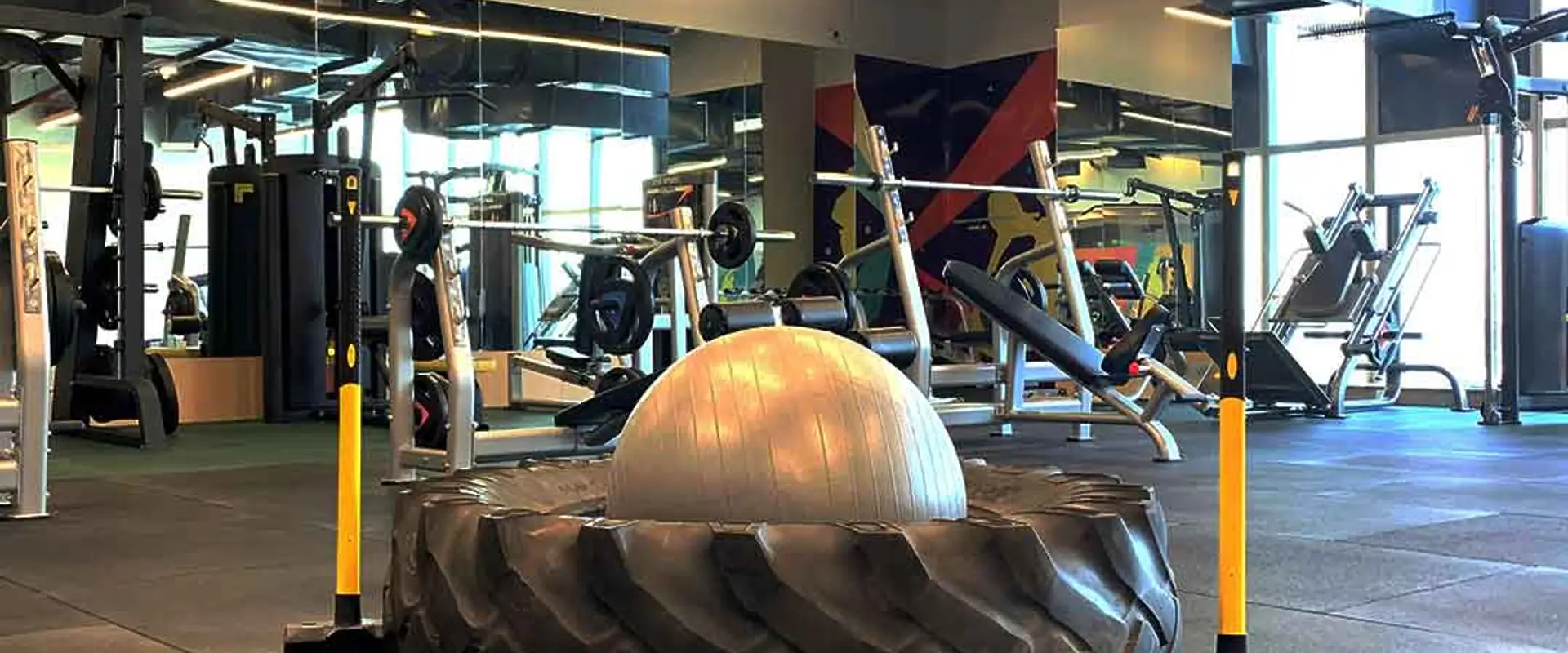 Fitness@D21 | Best Gym in Dwarka | Fitness Gym in Dwarka | Gyms near me