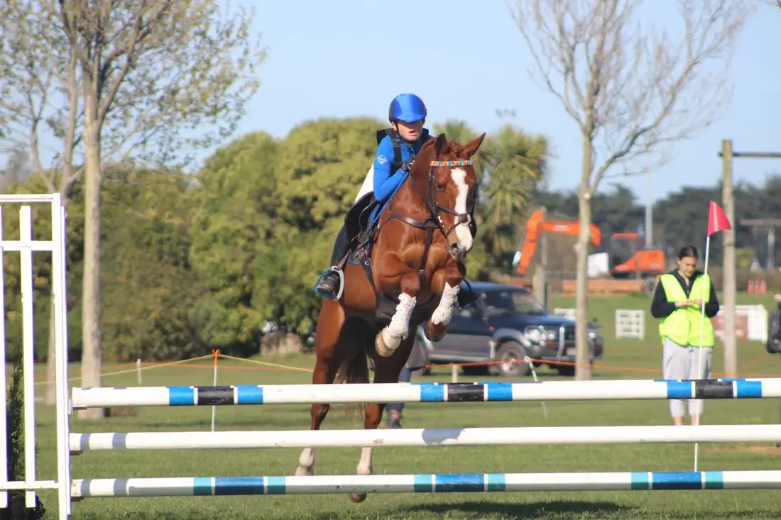 The Giggling Pony Equestrian Centre