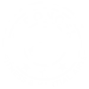 Stronger Fitness and Martial Arts