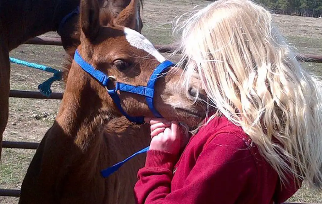 Windover Ranch