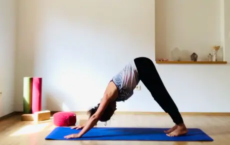 Yogaland