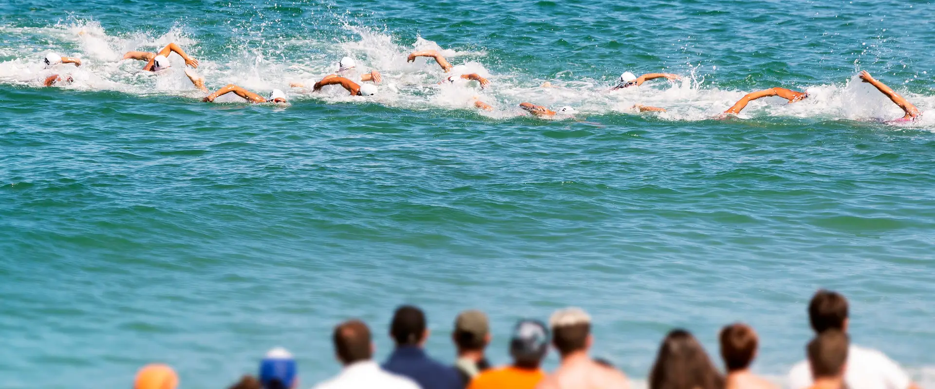Fdration de natation du Qubec