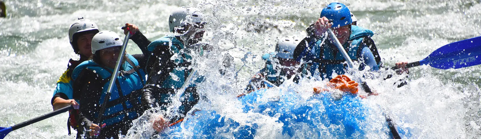 Frogs Rafting