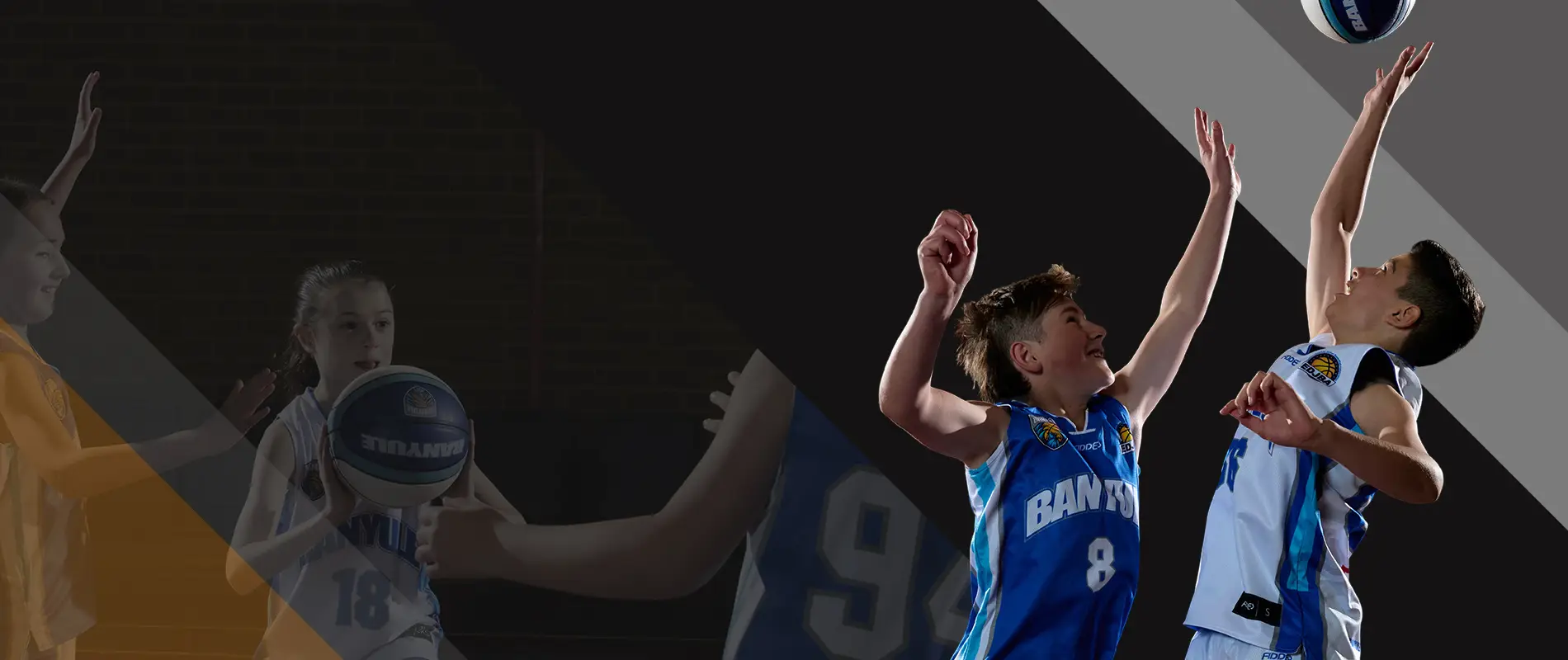 Heidelberg Hawks Basketball Club