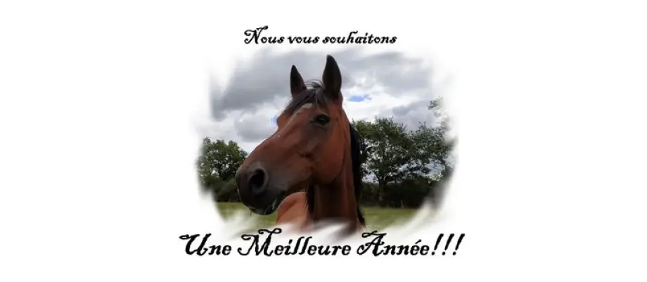 ECURIE DES RONCINNIERES