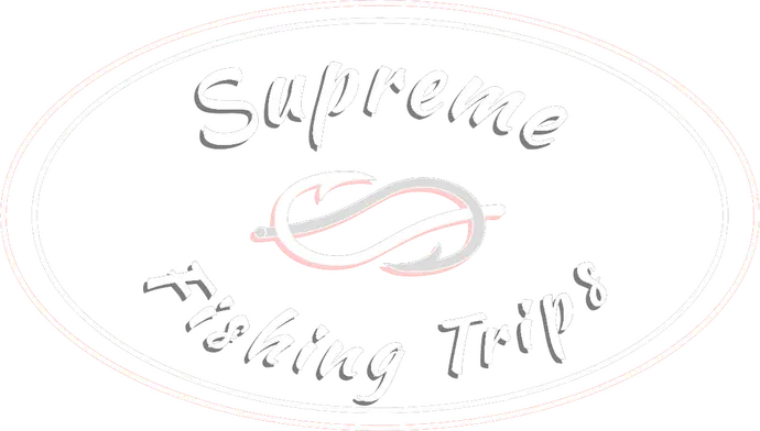 Supreme fishing trips Padstow