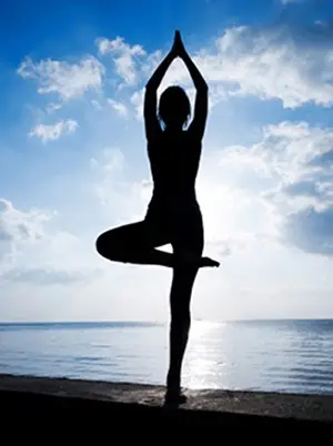 Yoga Vedavyasa Rouen