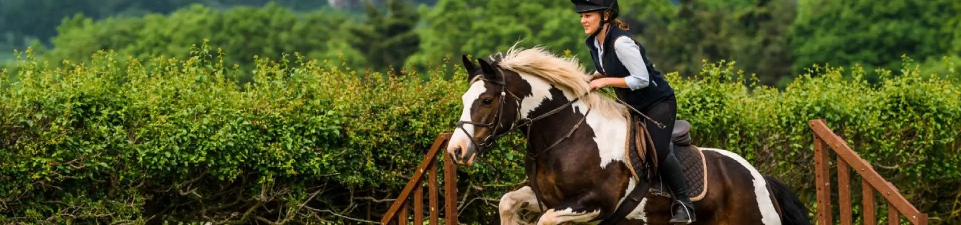 Noakes Farm Riding Centre