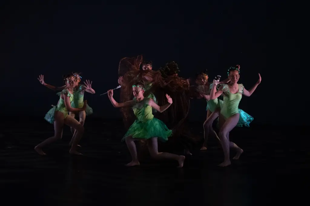 Ideale' Danse