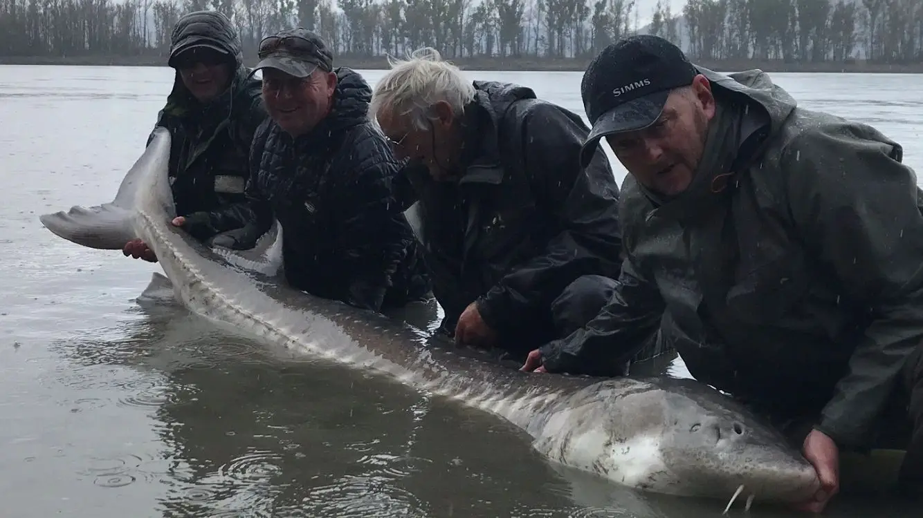 MTM SPORT FISHING