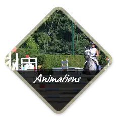 Roubaix Equitation