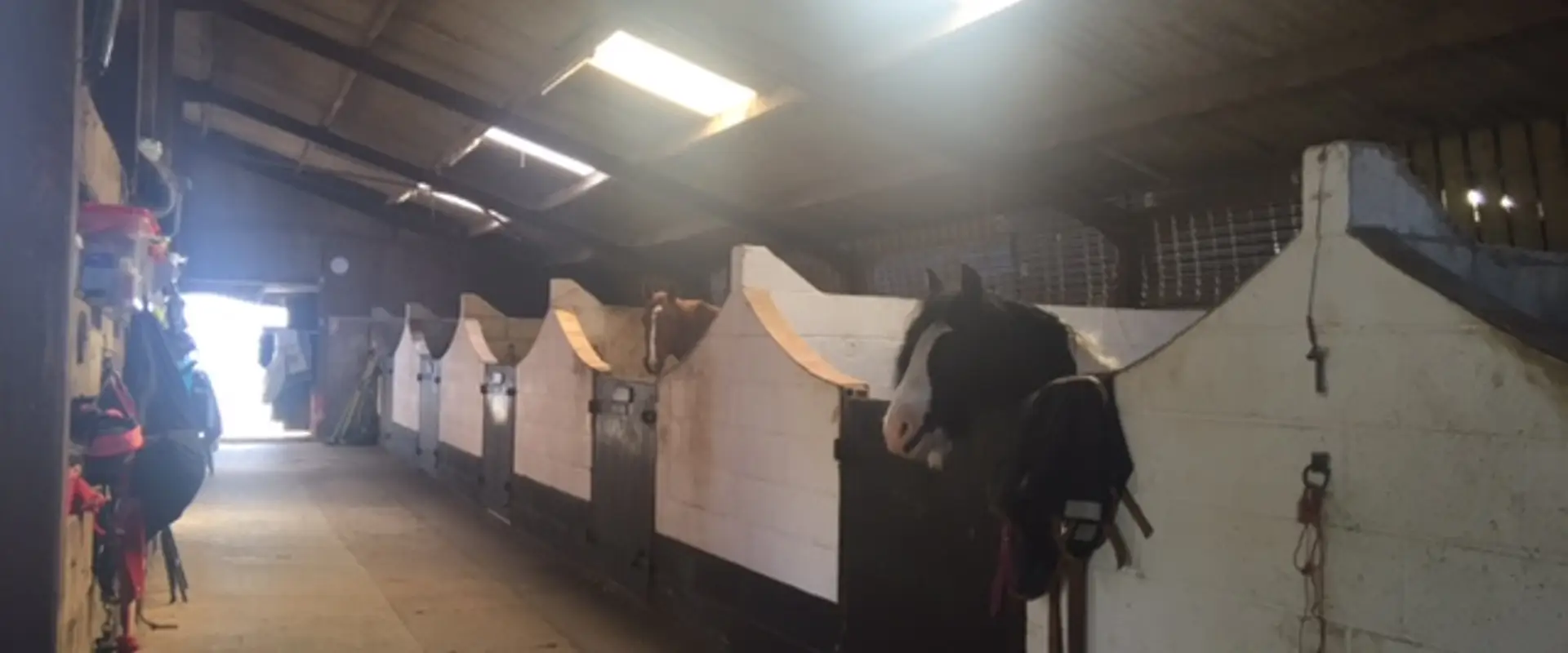 Lee Bank Farm & Livery