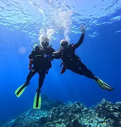 Scuba IQ