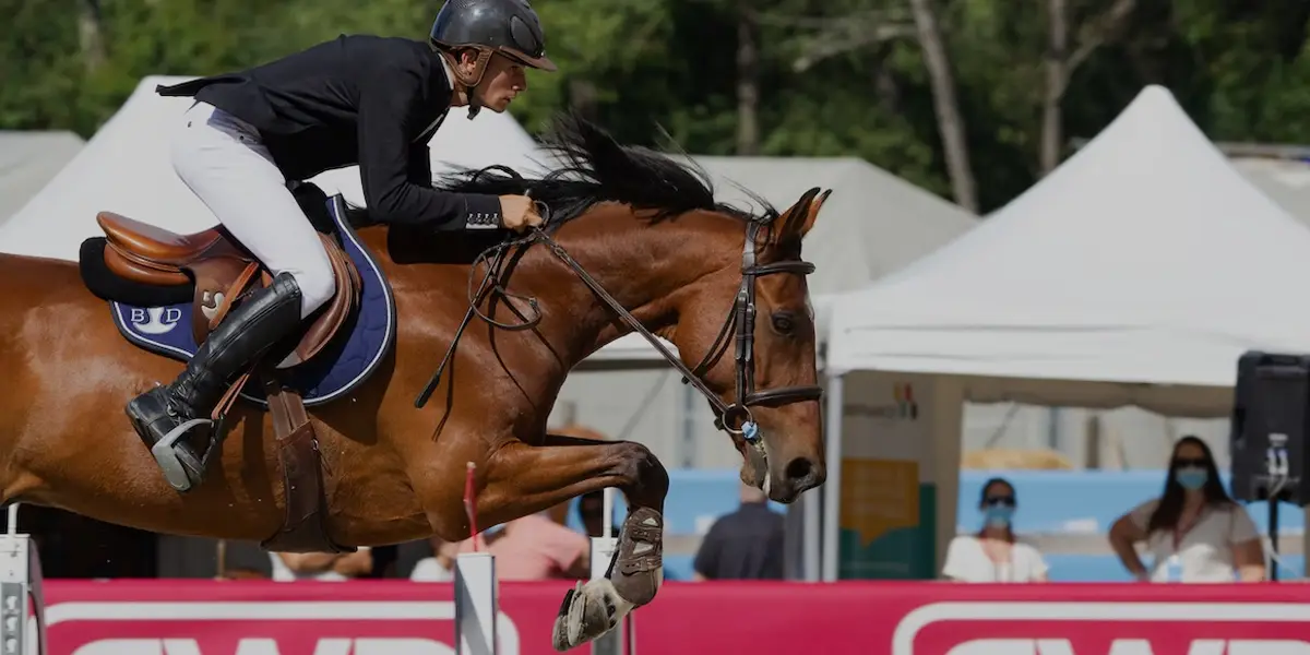 Equi-Fit Elite Ltd