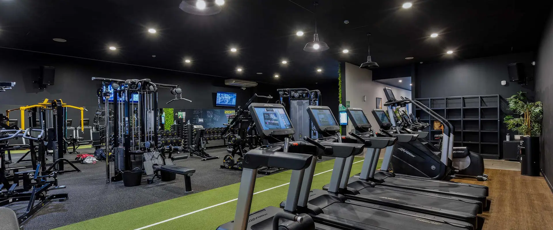 Flex Fitness Masterton