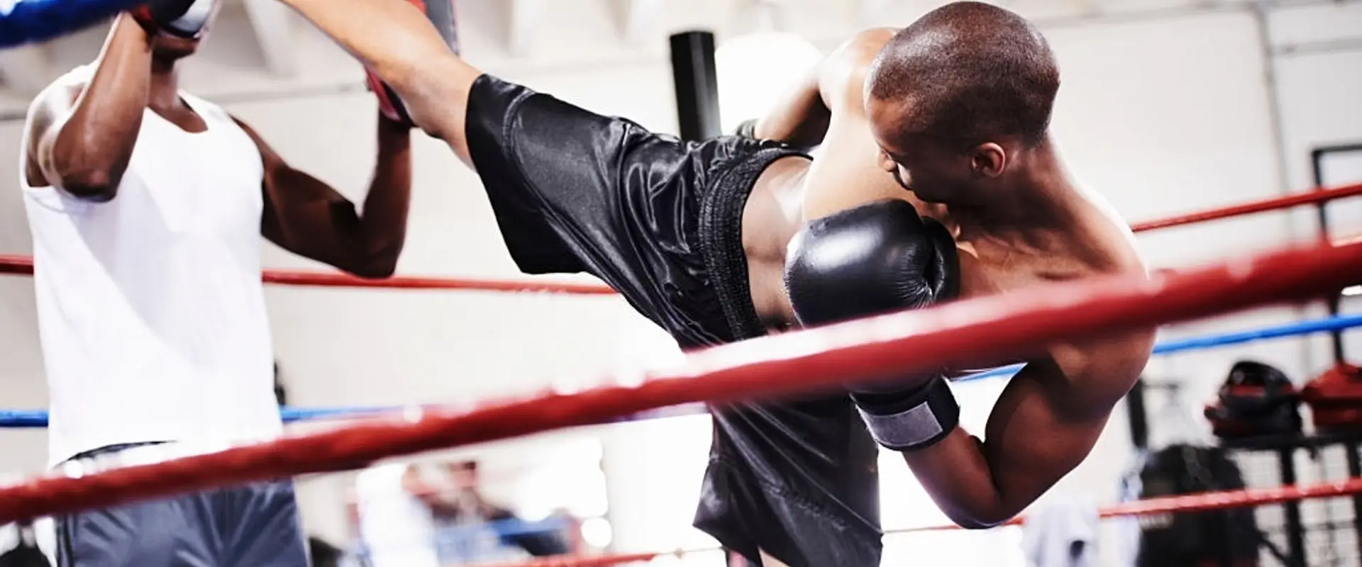 Lsk Boxing 95