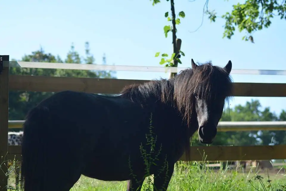 Equestrian Center De La Burthe