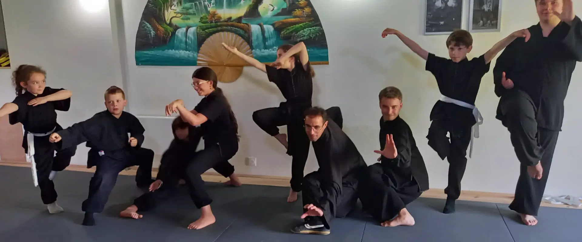 Wushu-Aikido Tarn