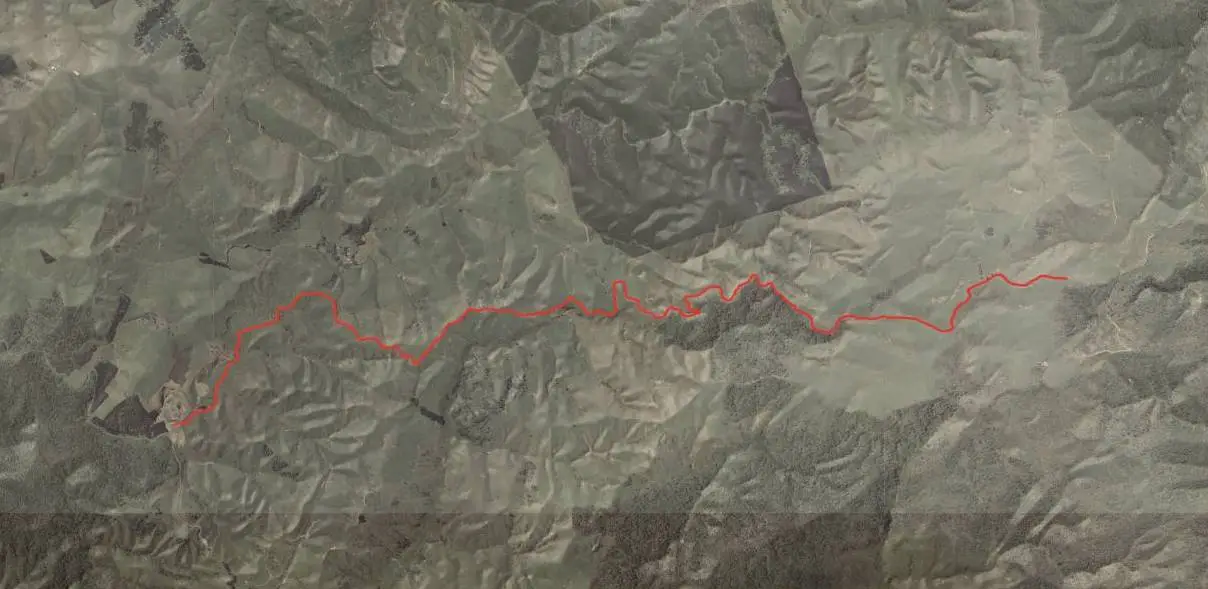 Pipiwharauroa Trail