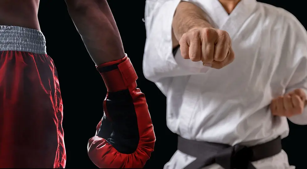 KARATE ETIOLLES TIGERY