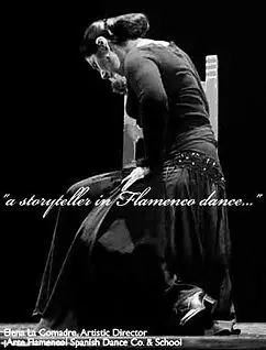 Arte Flamenco