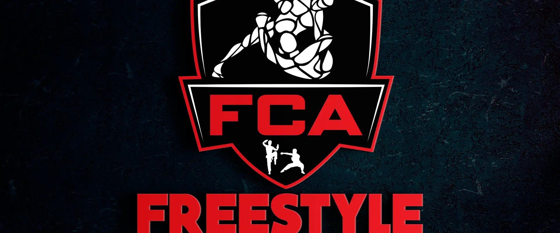 Freestyle Combat Academy
