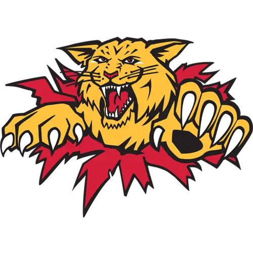 Les Tigres de Victoriaville