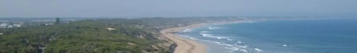 Ocean Grove Bridge Club