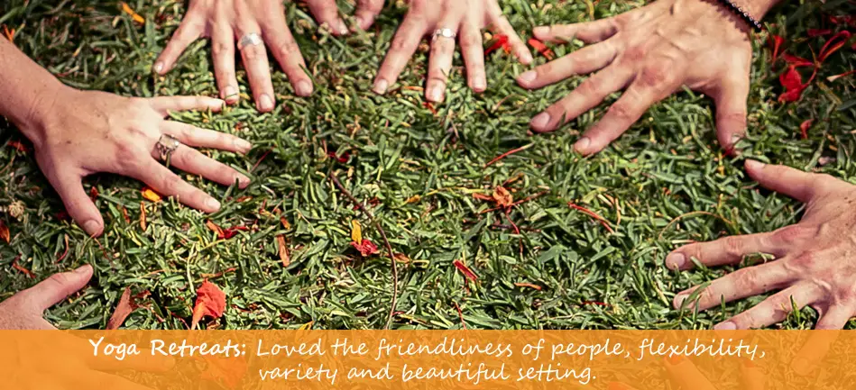 Amber Tree Yoga and Retreats
