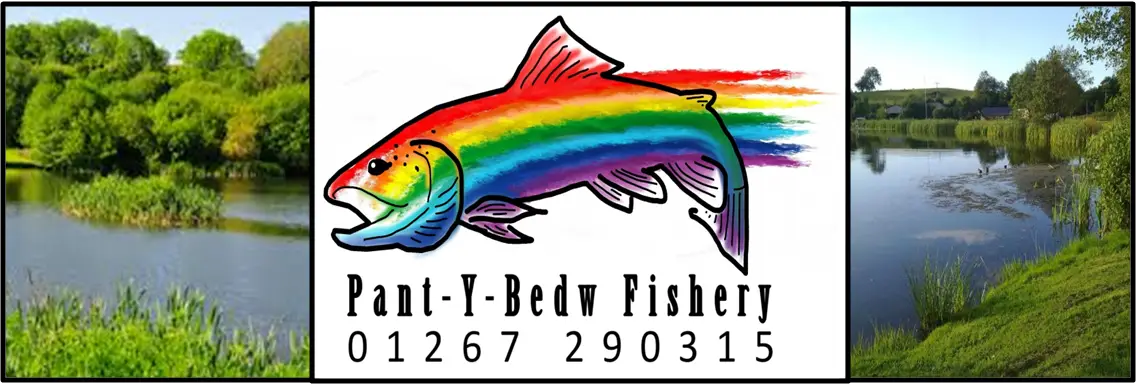 Pantybedw Fishery